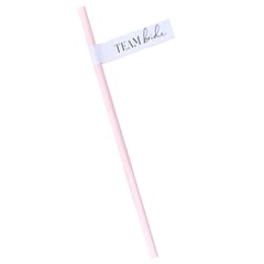 Future Mrs. - Team Bride Paper Straws